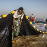 Guide au Sénégal excursions Riu Baobab