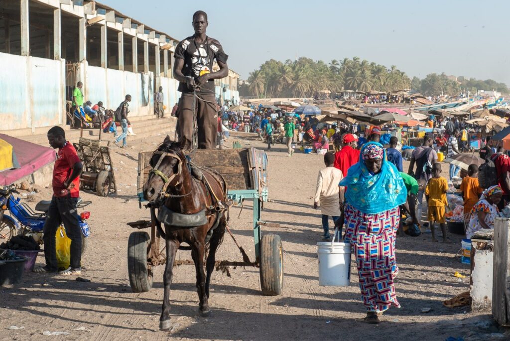 Excursion Saly Sénégal
