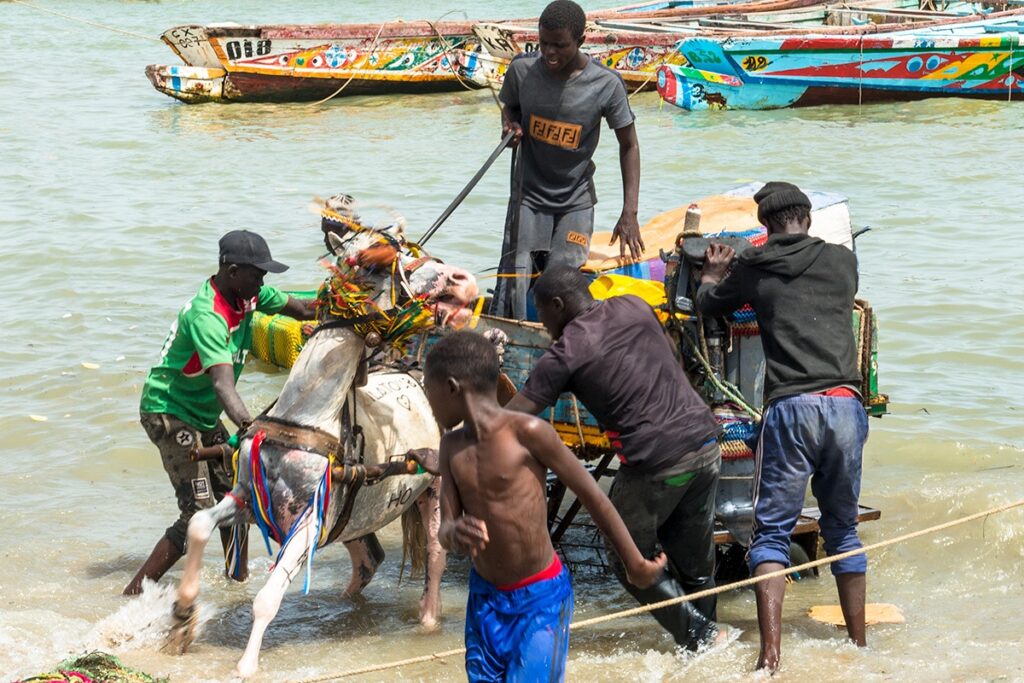 Excursion Riu Baobab Sénégal