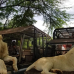 Safari au Ranch de Bandia