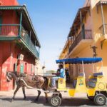 Guide local Sénégal