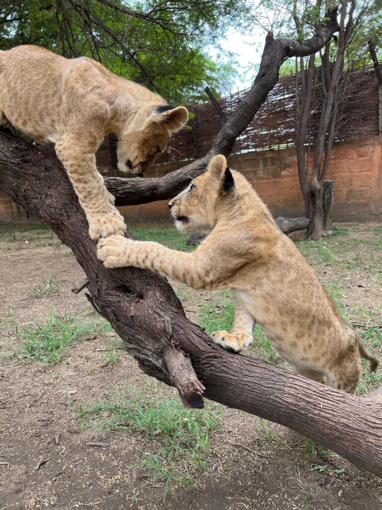 Excursion Saly Sénégal