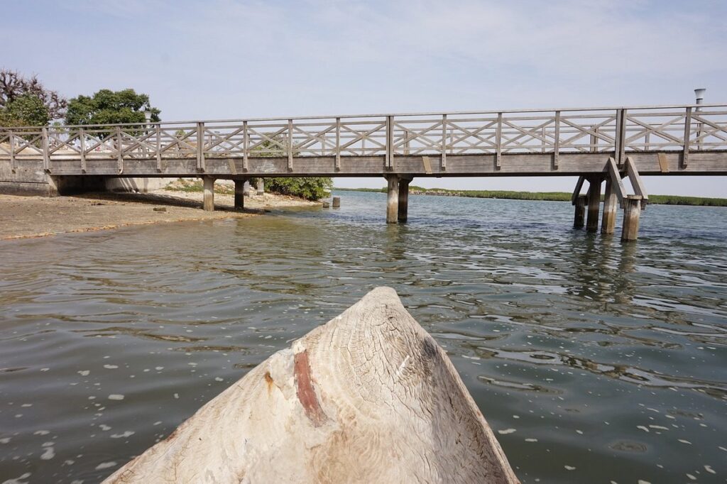 Excursion Lamantin Beach Saly