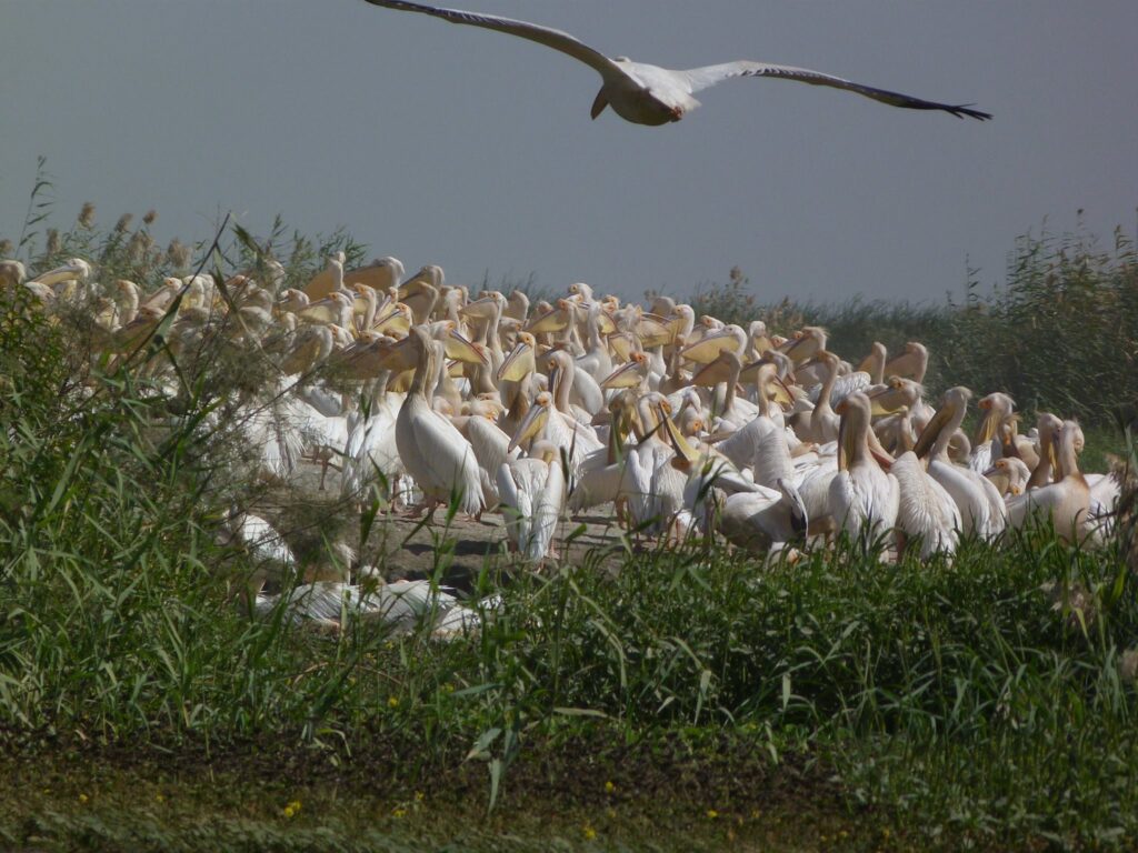 Guide touristique Sénégal