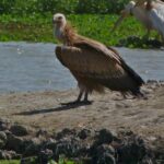 Guide touristique Sénégal