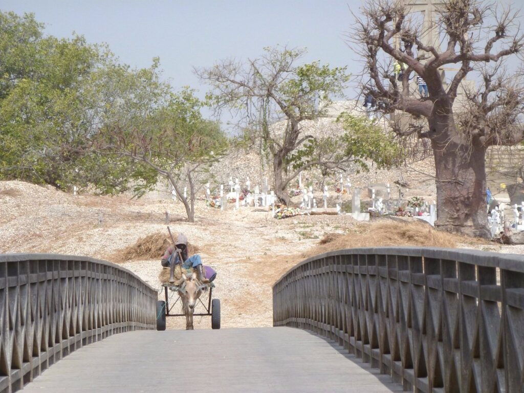 Excursion Lamantin Beach Saly
