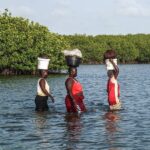 Que faire à La Somone