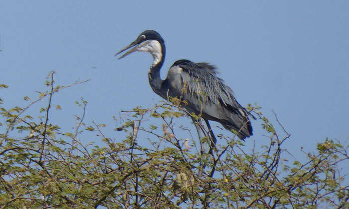 Excursion Saly Sénégal