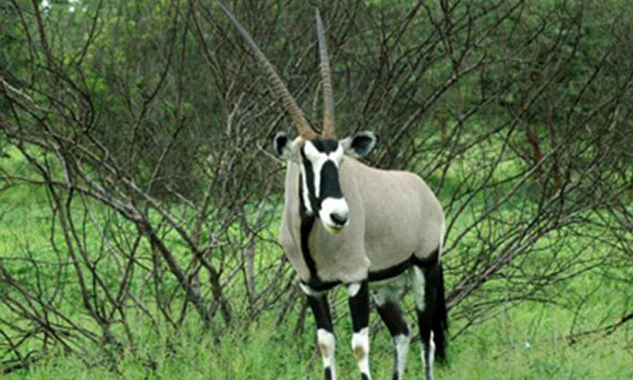 Excursion Riu Baobab Sénégal