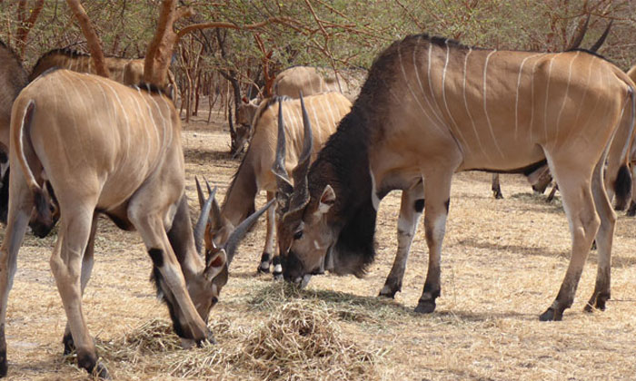 Excursion Petite Côte Sénégal