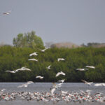 Que faire depuis les Filaos Saly