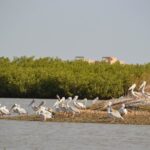 Excursion Club Filaos Saly