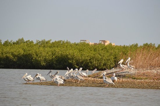 Excursion Club Filaos Saly : toutes les sorties depuis votre club de vacances