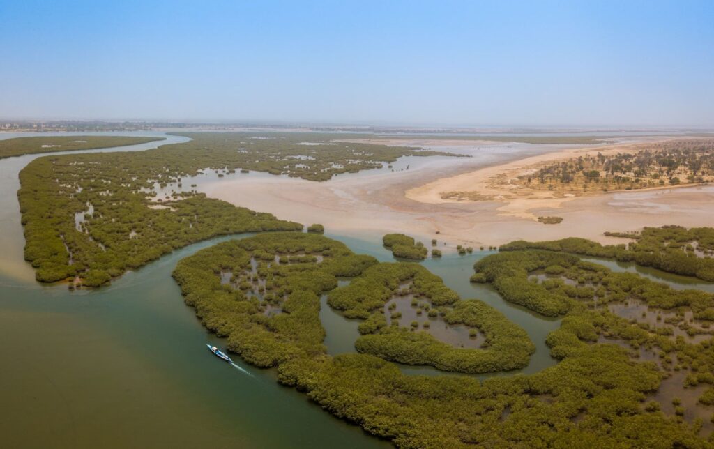 Excursion Riu Baobab Sénégal