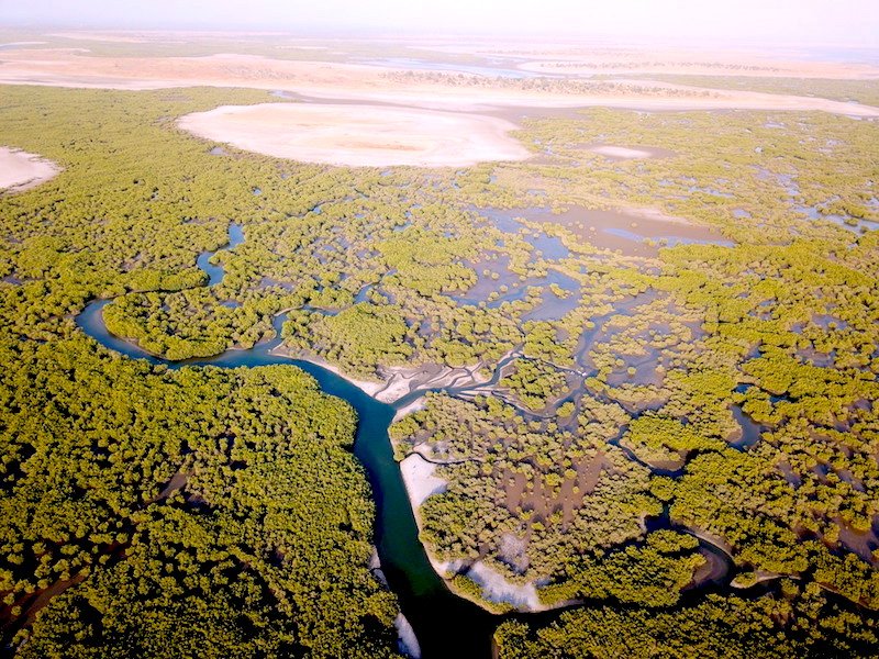Excursion au départ de Résidence Natangué Saly