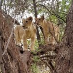 Excursion au départ de Relais du Sahel Saly