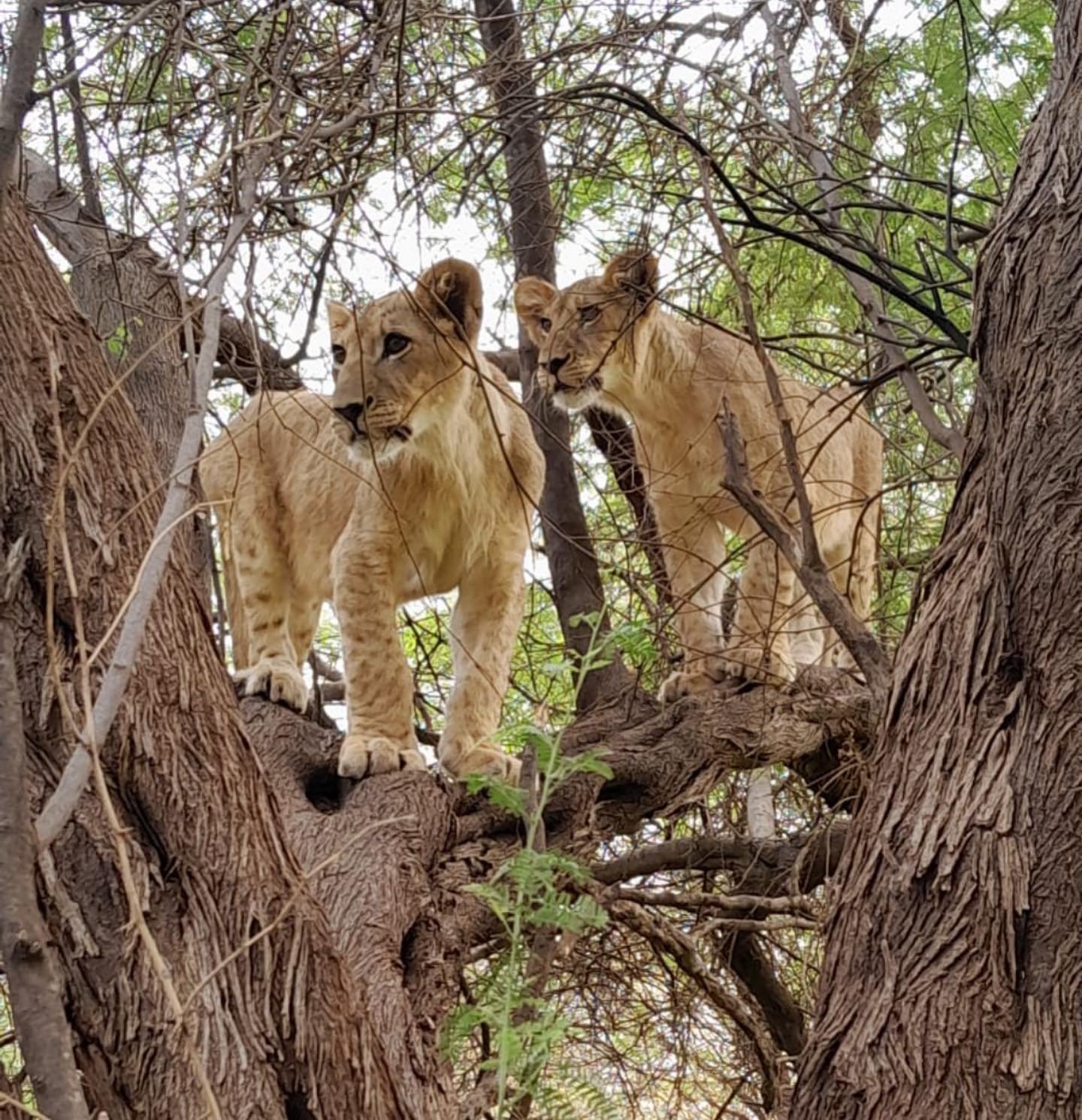 Excursion au départ de Relais du Sahel Saly
